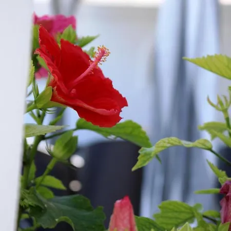 Dom wakacyjny Evilio *