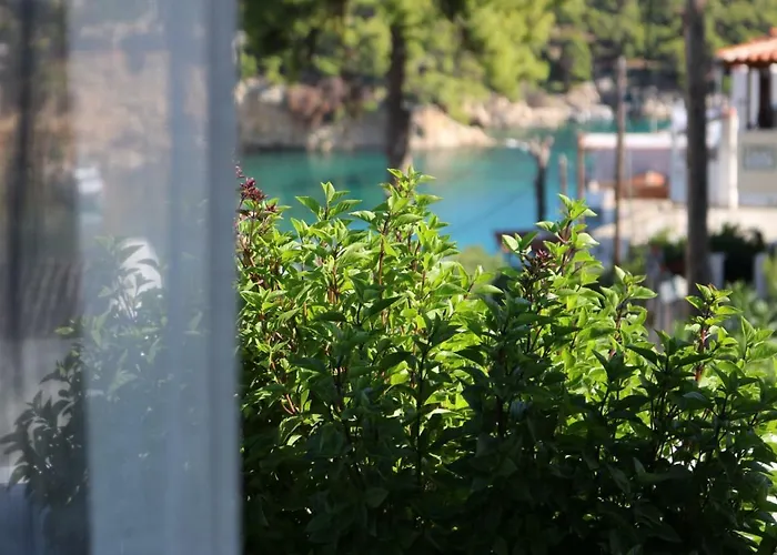 Evilio Semesterbostad